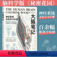 [正版]大脑笔记(神经系统涂色学习手册)科学技术文献出版社基础医学书店课外阅读书籍 书店 书籍