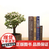 正版 社科文献 雷纳齐特尔曼作品套装4册 富豪的心理+成功说+富人的逻辑+敢于不同 雷纳齐特尔曼作品 自我实现励志成