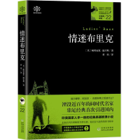 音像情迷布里克/女神探希娃22[英]帕特丽夏?温沃斯