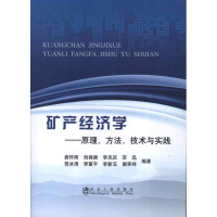 音像矿产经济学:原理.方.技与实践袁怀雨 等