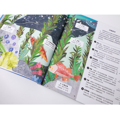 《不可思议的大自然剖面图 神奇海洋》