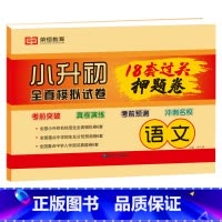 小升初押题卷 语文 小学升初中 [正版]2023版小升初必刷题语文数学英语全套人教版小学毕业升学总复习资料真题卷六年级下