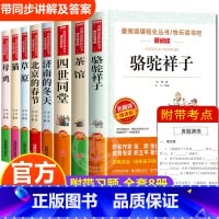 老舍儿童文学全集 8册 [正版]8册老舍经典作品全集 骆驼祥子原着 茶馆四世同堂 猫草原北京的春节小学生读本三四五六年级