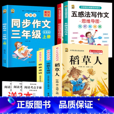 三上3本+同步作文+五感法+阅读理解 [正版]稻草人书三年级上册必读课外书安徒生童话格林童话必读的全集快乐读书吧阅读课外