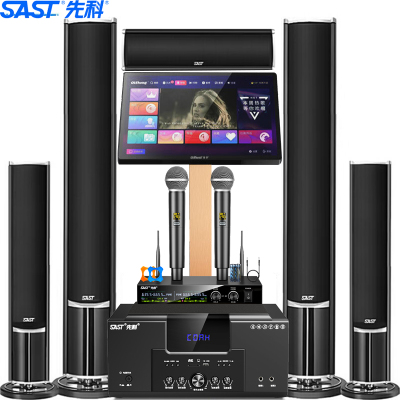 先科(SAST)A16家庭影院套装5.1家庭影院音响套装家用电视客厅壁挂落地音箱 (落地点歌机套装)