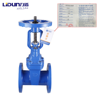 力盾 法兰明杆弹性座封闸阀 6541 DN100 台