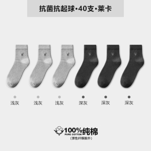 花花公子袜子男士纯棉夏季男款防臭吸汗全棉中筒男袜子商务袜