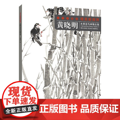 黄晓明 当代水墨画唯美新视界 /水墨花鸟画精品集/白描底稿画谱勾勒技法解析/国画花鸟水墨画临摹画册毛笔绘画入门基础教程