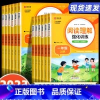 [全套2册]阅读理解+数学计算题 三年级下 [正版]阅读理解专项训练书人教版一年级二年级三年级上册下册四五六训练题课外阅