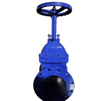 济俊 明杆软密封法兰消防闸阀 DN200 DN200