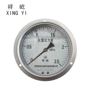 祥屹 耐震压力表轴向带边 YTN150ZT 块