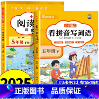 [五年级下册]看拼音写词语+阅读理解 小学五年级 [正版]看拼音写词语五年级下册 语文小学注音生字拼音拼读字词5年级上汉