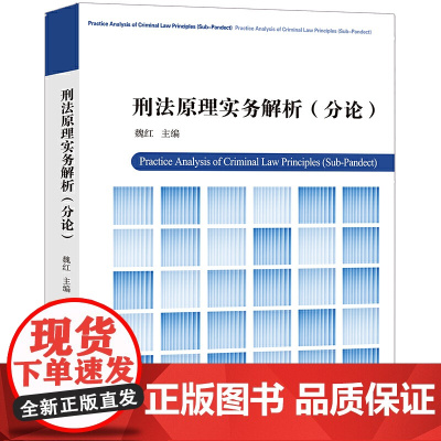 刑法原理实务解析(分论)