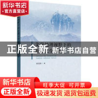正版 文学地理视野下的沂蒙文学研究 徐玉如著 山东人民出版社 97