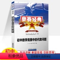 [初中]代数问题 初中通用 [正版]奥赛经典初中数学中的代数几何组合数论问题竞赛中的秘密名师讲堂奥林匹克题型与技巧专题训