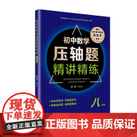 初中数学压轴题精讲精练(八年级)