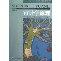 音像审计学原理--面向人缺陷的治理技术李寿喜
