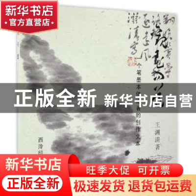 正版 观花问道:一个笔墨本体论者的创作文本 王渊清著 西泠印社出