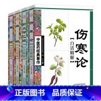 [正版]中医药经典著作全套4册 脉经+难经+针灸甲乙经+伤寒论张仲景原著白话精解版 针灸入门中医书籍大全零基础中医基础