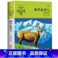 疯羊血顶儿 [正版]完整版疯羊血顶儿全本沈石溪的图书籍动物小说大王品藏系列小学生四五六年级儿童文学作品珍藏大全全集1全套