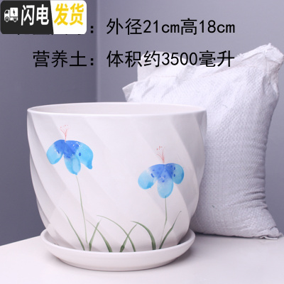 三维工匠特大号花盆陶瓷简约吊兰创意绿萝家用阳台多肉花盆带托盘 55613兰特大号+土 特大花盆容器