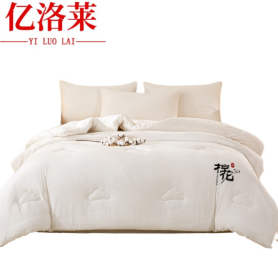 亿洛莱 冬被 150*200cm8斤 床