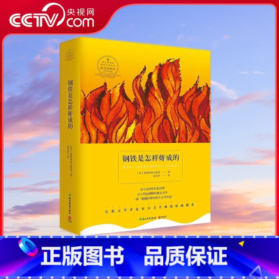 钢铁是怎样炼成的 浙江教育版 [正版]央视网钢铁是怎样炼成的 浙江教育版 奥斯特洛夫斯基编 浙江教育出版社 TJ