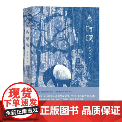 乌暗暝 黄锦树 上海文艺出版社