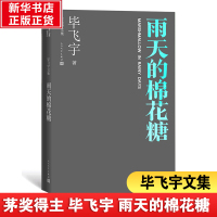 雨天的棉花糖(毕飞宇文集)
