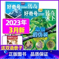 2023年3月[共3本]动物的伪装+漫游阿根廷 [正版]好奇号杂志2023年9月另有1-8月全年半年任选阁楼探险记中