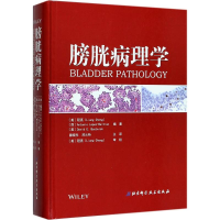 音像膀胱病理学