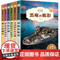 沈石溪动物小说全集6册狮王的崛起三四五六七年级中小学生课外阅读书籍3-6年级读课外书8-9-10-12-15儿童文学读物