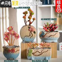 三维工匠多肉花盆套装组合粗陶透气复古陶瓷小盆创意肉肉花盆 粉红色组合09 中等花盆容器