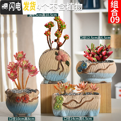 三维工匠多肉花盆套装组合粗陶透气复古陶瓷小盆创意肉肉花盆 粉红色组合09 中等花盆容器