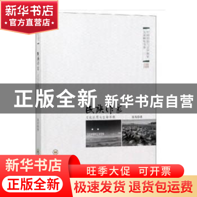正版 民族作家:文化认同与生命寻根:文学湘军的江华现象 聂茂 中
