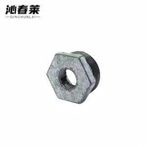 沁春莱 镀锌补芯 DN32*25 个