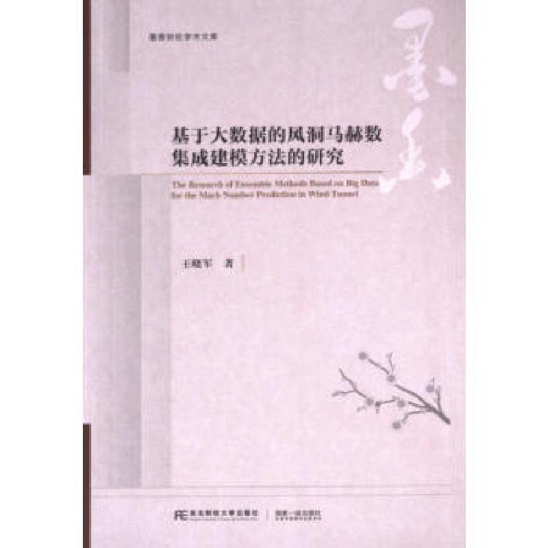 正版新书]基于大数据的风洞马赫数集成建模方法的研究王晓军著97