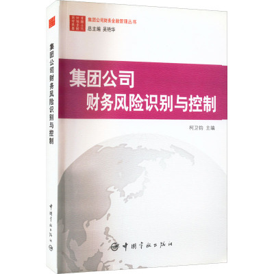 集团公司财务风险识别与控制/集团公司财务金融管理丛书