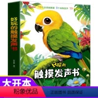 好玩的触摸发声书 [正版]好玩的触摸发声书 会说话的早教有声书 婴幼儿早教书籍1-2-3岁启蒙点读书有声读物翻翻书 会