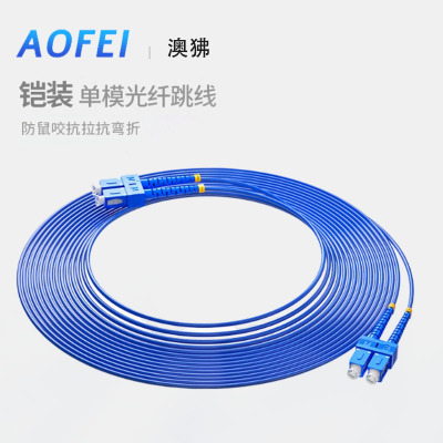 电信级铠装尾纤 单模双芯 光纤跳线SC-SC 防鼠咬阻燃 1条
