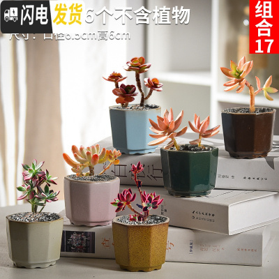 三维工匠多肉花盆套装组合粗陶透气复古陶瓷小盆创意肉肉花盆 杏色组合17 中等花盆容器