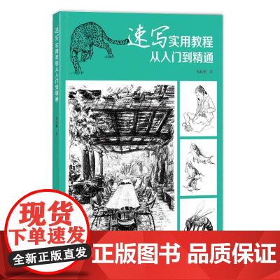 速写实用教程:从入门到精通