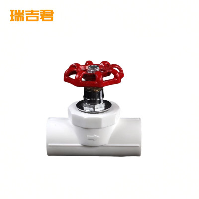 瑞吉君 PPR截止阀 63mm 个