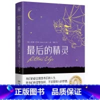 最后的精灵 [正版]博集天卷后的精灵 意大利安徒生儿童文学奇幻温情治愈小说 外国现当代文学小说书籍 小学课外阅读书籍 童