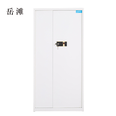 岳滩保险柜铁皮资料柜矮柜办公室储物柜通门白色指纹锁900*420*1850