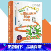 [正版]玩中学 在家就能做的科学小实验 儿童书籍6-12岁初中小学生青少年少儿童趣味科普百科全书科学知识大全化学物理科