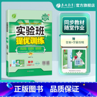 数学 九年级下 [正版]2025年春 初中实验班提优训练九年级数学下册华师大版9年级下HSD课时单元专题训练期中期末真题