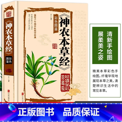 [中医入门]黄帝内经(精装硬壳) [正版]彩图神农本草经原版古籍珍藏版图鉴中医书籍大全经典启蒙实用的现代家庭养生全书指导