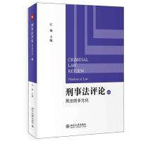 音像刑事评:刑法的多元化江溯