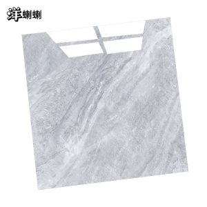 洋蝲蝲 瓷砖 800x800 块